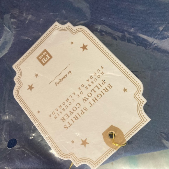 Pottery Barn Teen Bright Spirits Be Amazing Pillow Case - Picture 5 of 6